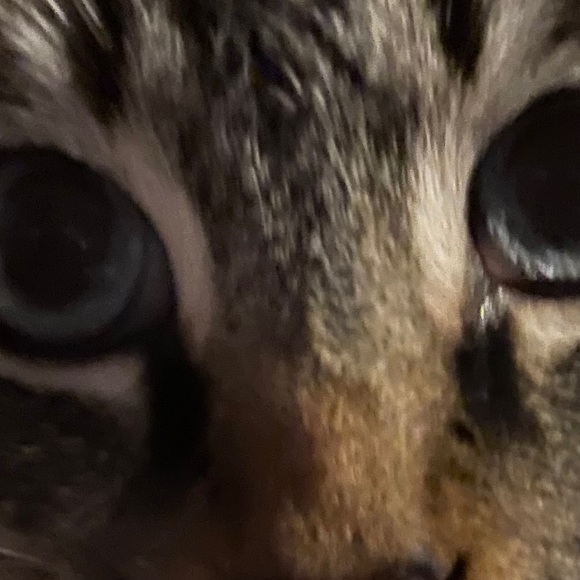 Meet your Posher, Anneli - Picture 1 of 1